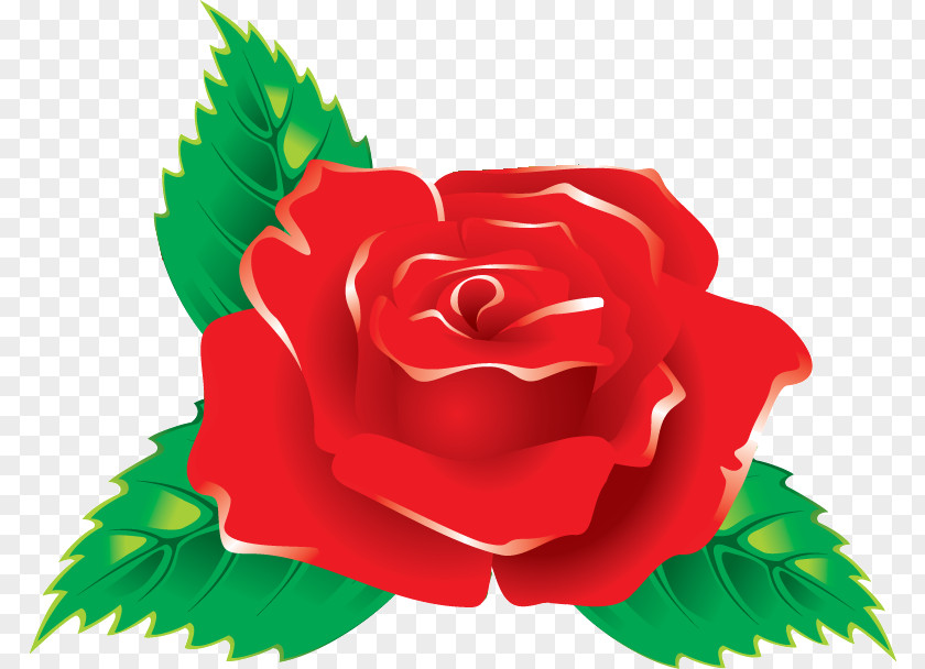 One Flower Rose Valentines Day PNG