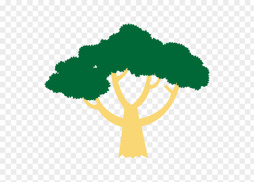 Clip Art Tree Logo Flower Leaf PNG