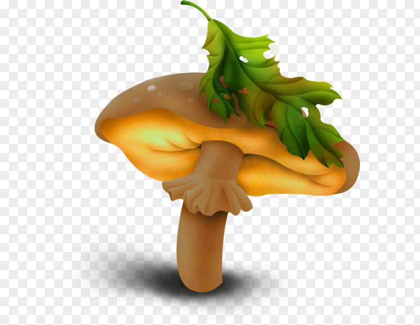 Large Mushrooms Mushroom Shiitake Clip Art PNG