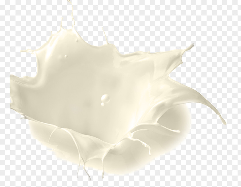 Milk Splash Water Petal PNG