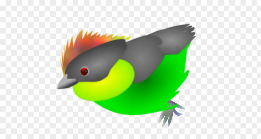 Tropical Birds Beak Bird Finch Clip Art PNG