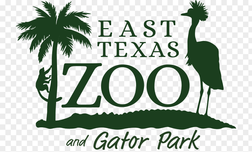 Zoo Playful East Texas & Gator Park Logo ZooMontana PNG