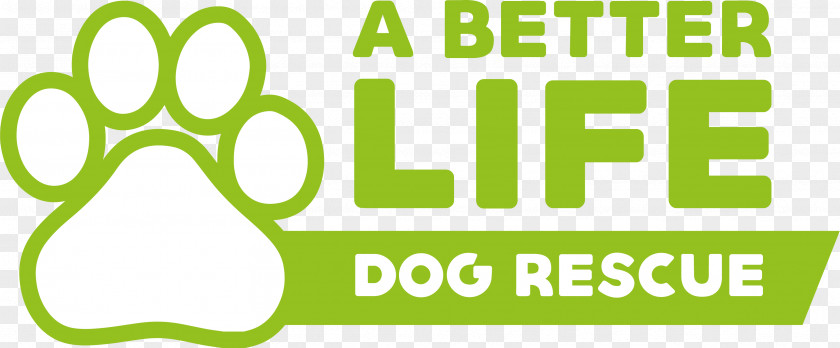 Dog Street Cat Animal Rescue Group A Better Life PNG