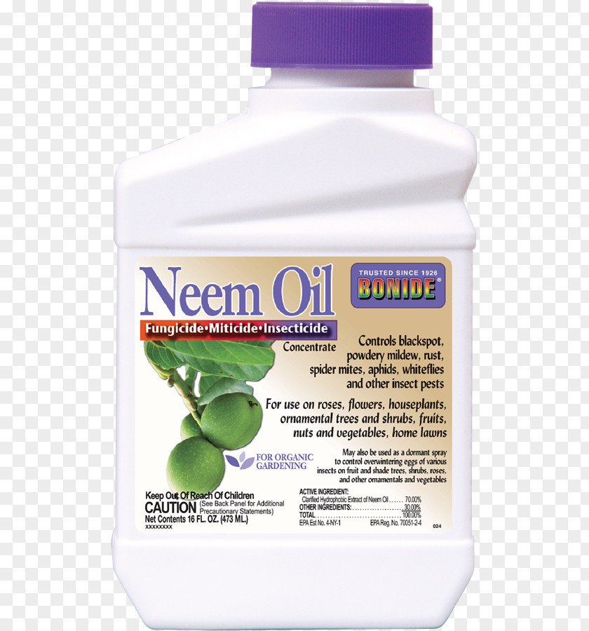 Neem Oil Insecticide Tree PNG