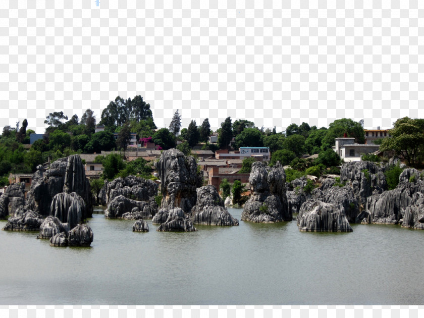 Park Stone Forest Landscape Photography PNG