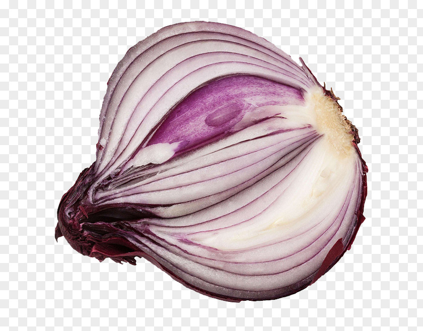Purple Onion Shallot Vegetable Potato Red Vegetarian Cuisine PNG