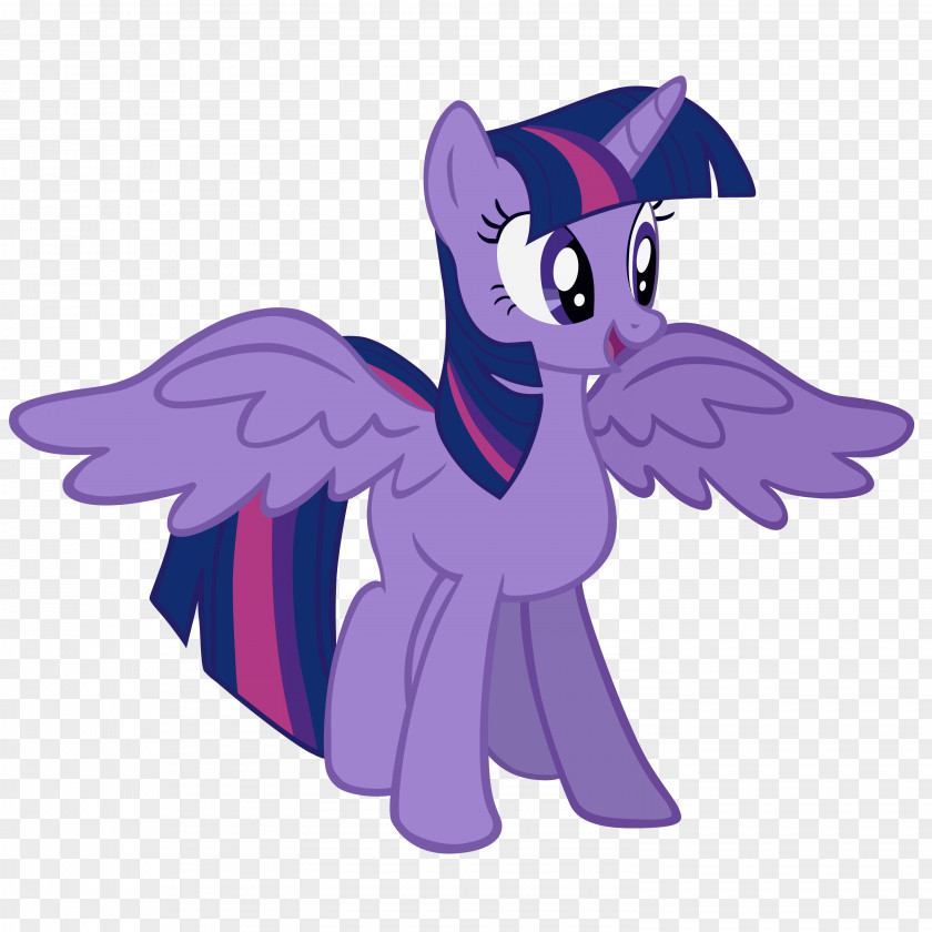 Twilight Sparkle Rarity My Little Pony Winged Unicorn PNG