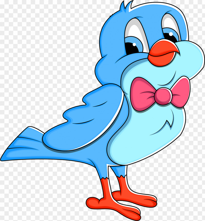 Bird Cartoon Clip Art PNG