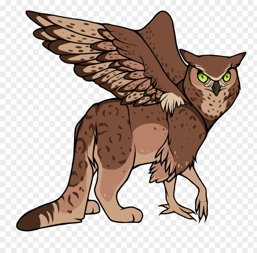 Cat Owl Hawk Clip Art PNG