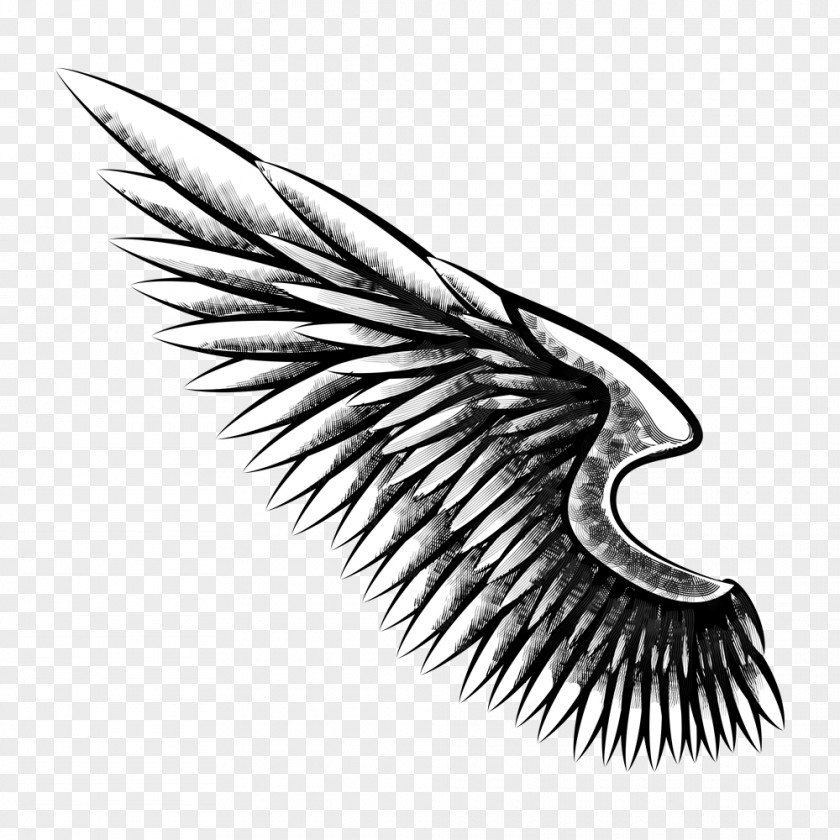 Eagle Wings Tattoo Firearm Gun Drawing Sketch PNG