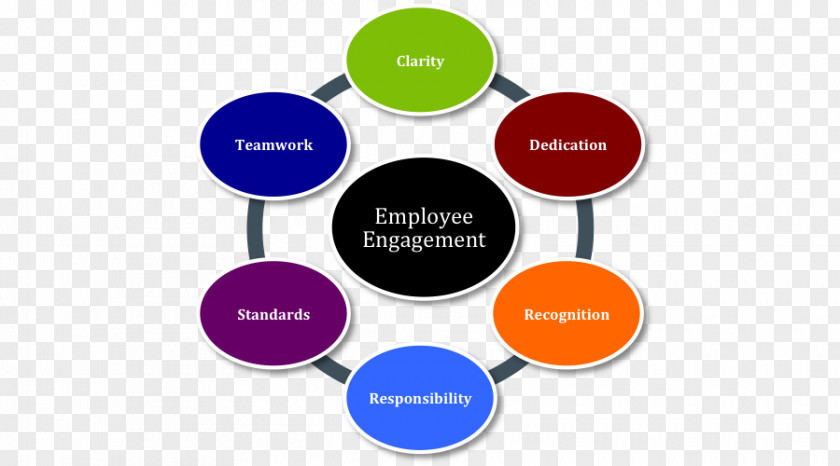 Employee Engagement Organization Management Information Empowerment PNG