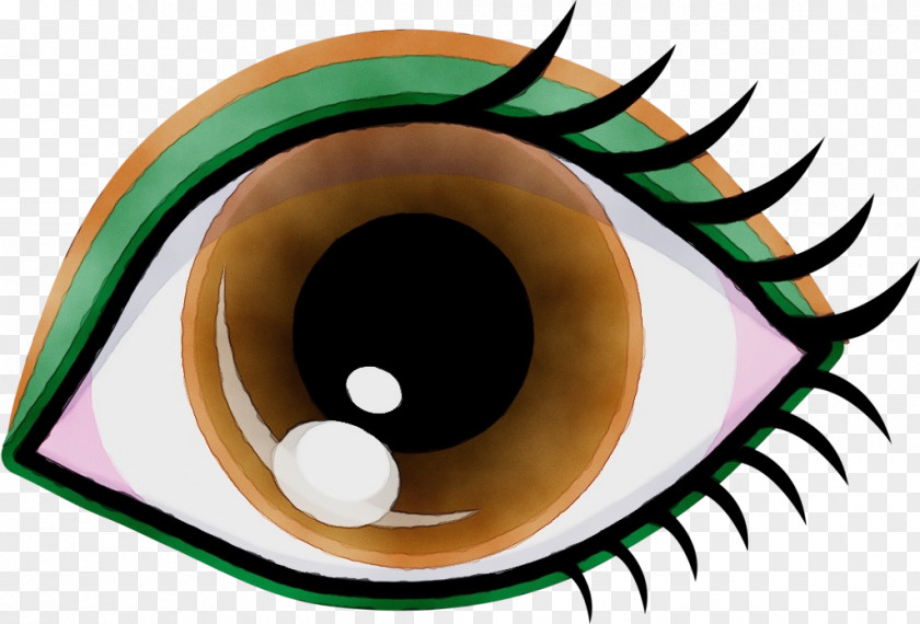 Iris Brown Eyebrow Wink Visual Perception Eyelash PNG