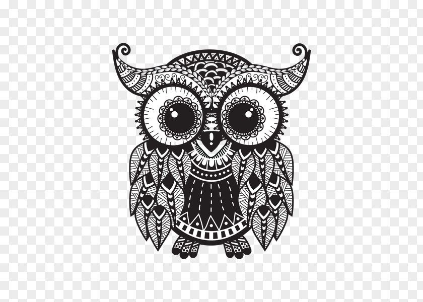 Owl Coloring Book Drawing PNG