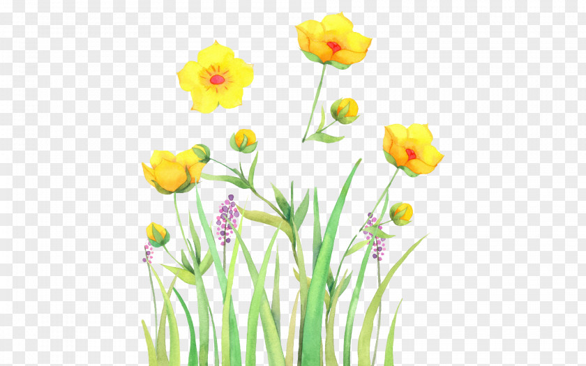 Painted Grass Flowers Watercolor: Watercolor Painting PNG