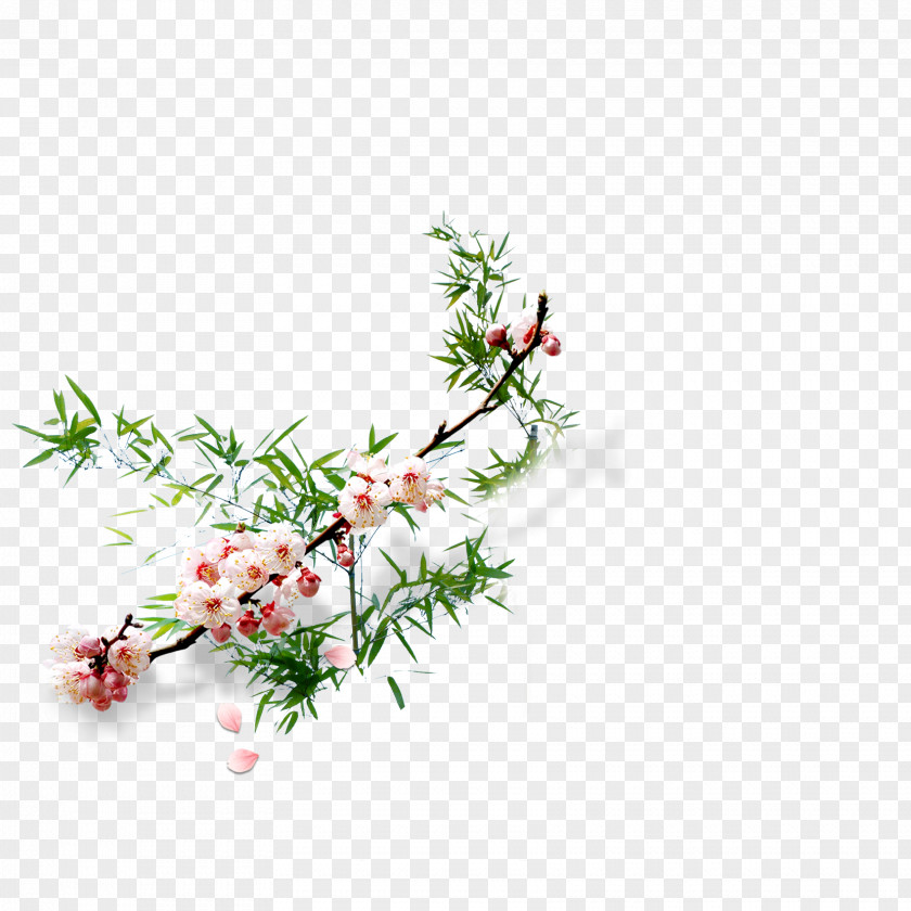 Plum Flower Bamboo Drawing Blossom PNG
