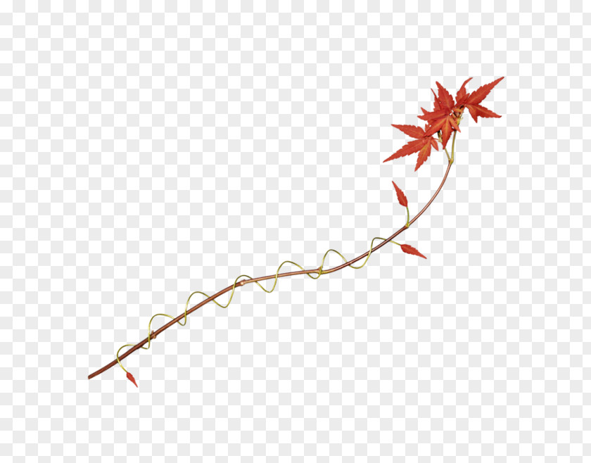 Red Maple Leaf Clip Art PNG