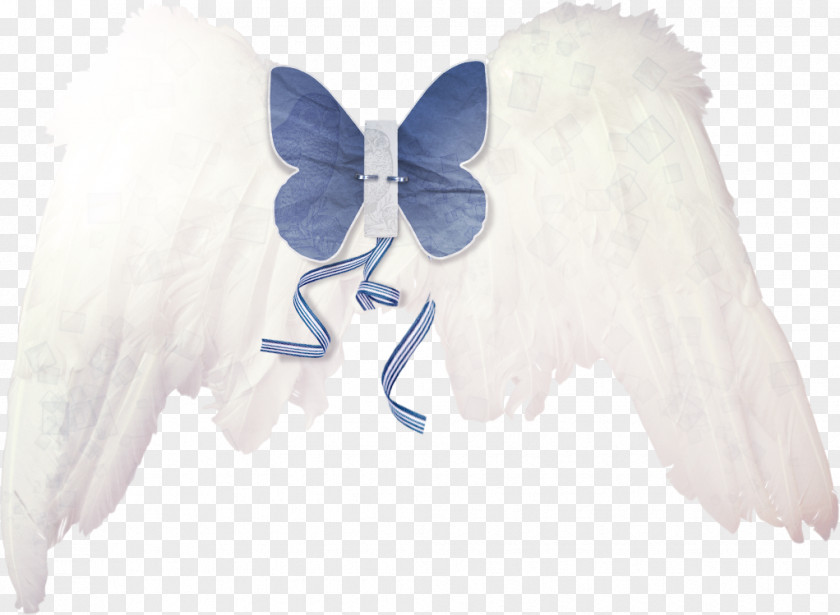Angel Wings Wing PNG