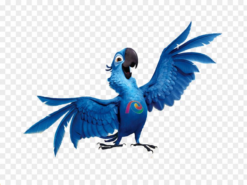 Bird Angry Birds Rio Parrot Seasons Blu PNG