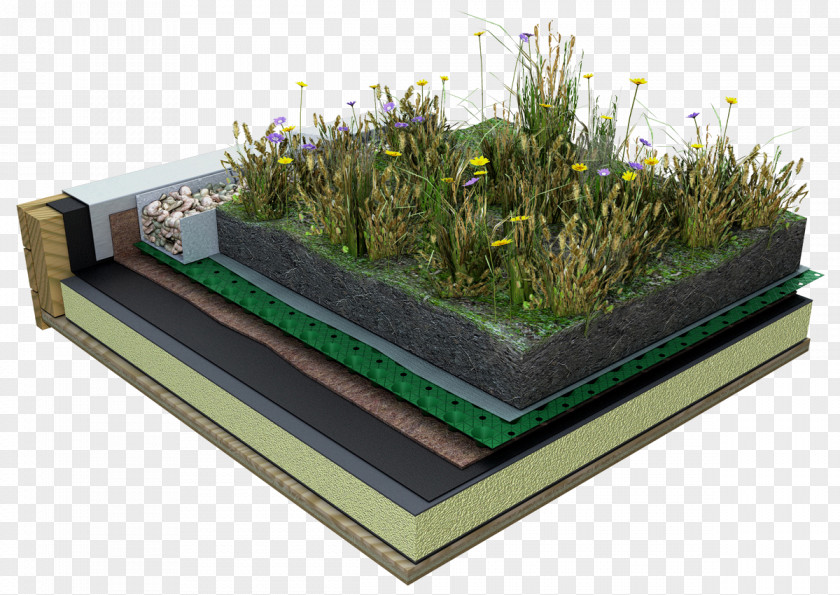 Building Green Roof Systems: A Guide To The Planning, Design, And Construction Of Landscapes Over Structure Dachdeckung Ceiling PNG