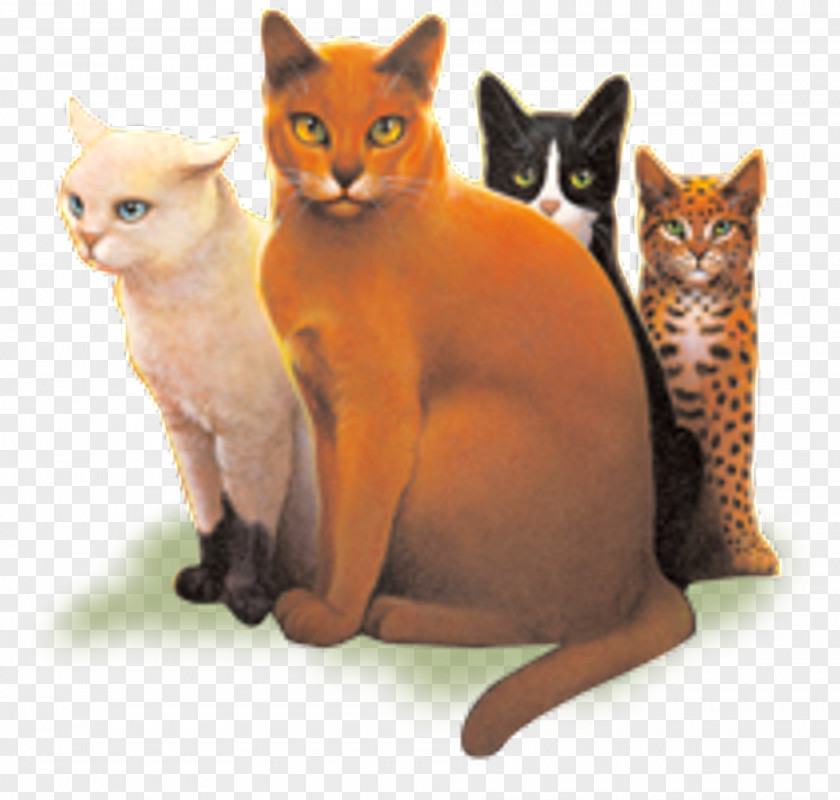 Cat Code Of The Clans Cats Warriors Erin Hunter PNG