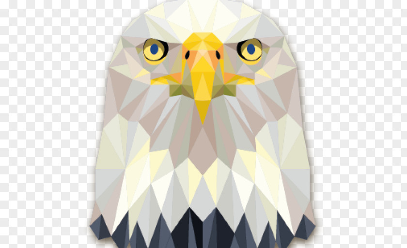 Eagle Bald Geometry PNG