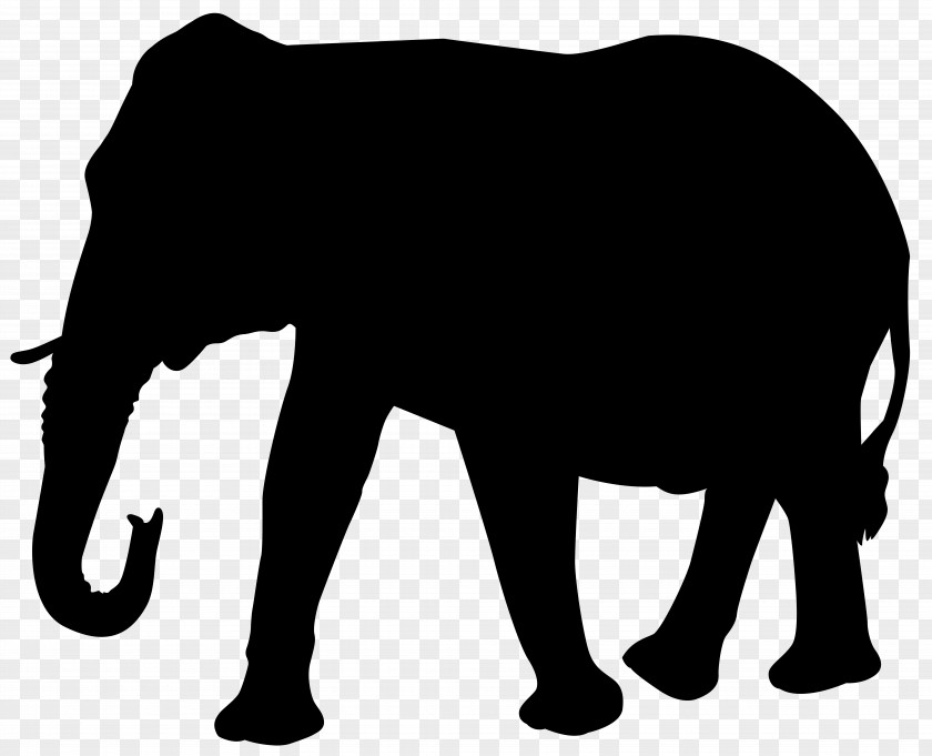 Elephant Silhouette Transparent Clip Art Image Indian PNG