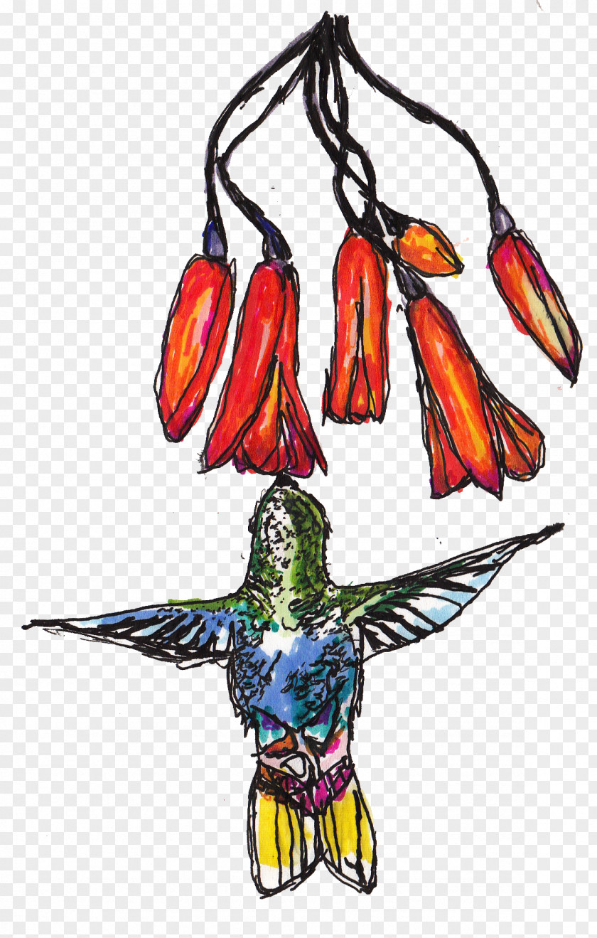 Hawaii Bird Macaw Costume Design Beak PNG