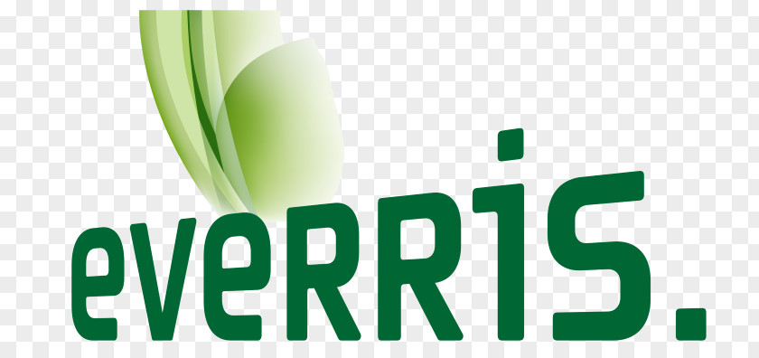 Portulaca Oleracea Logo Product Design Brand Trademark Green PNG