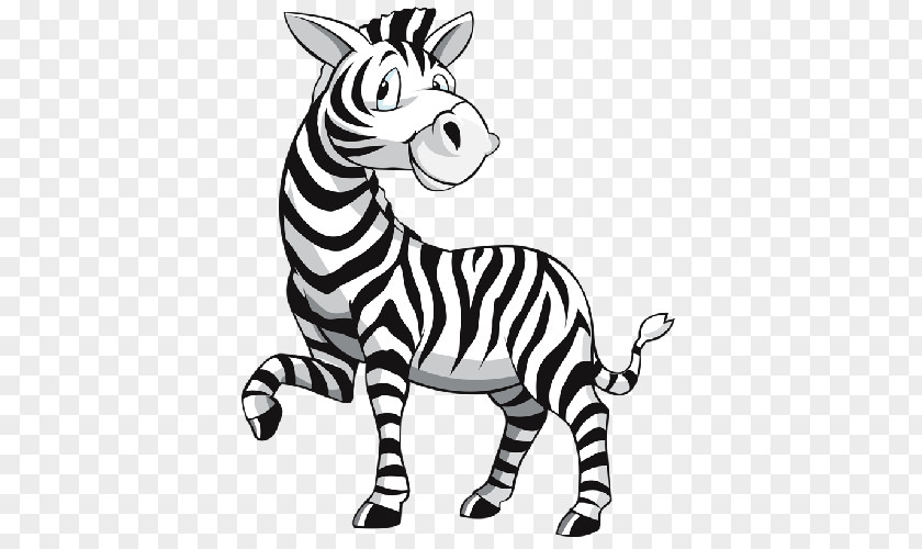Zebra Vector Graphics Image Drawing Photograph PNG