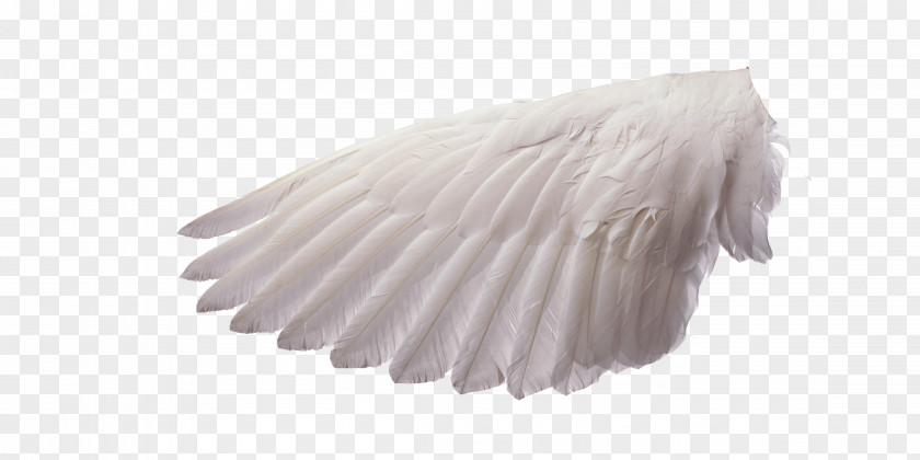 Angel Wings Spirit-led Preaching: The Holy Spirits Role In Sermon Preparation And Delivery Bible Preacher Pastor PNG