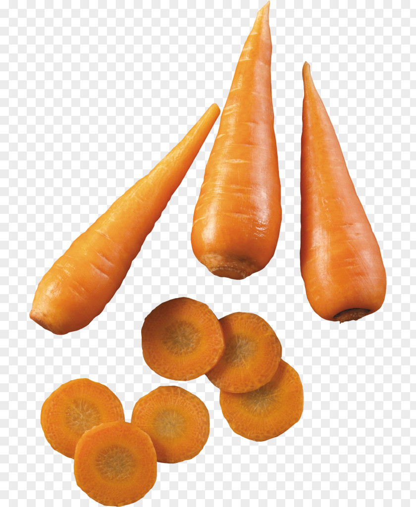 Carrots Clip Art Carrot Digital Image PNG