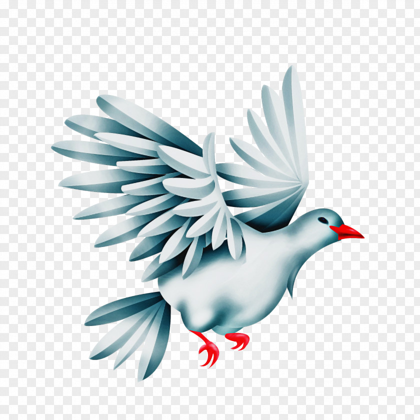 Feather Songbird Dove Logo PNG