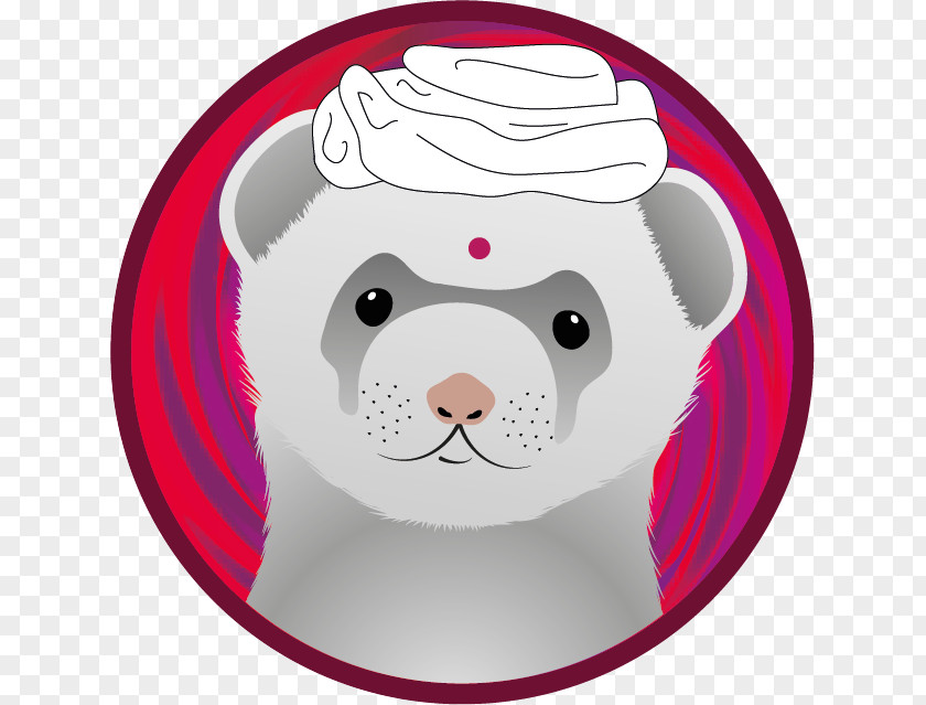 Ferret Canidae Bear PNG