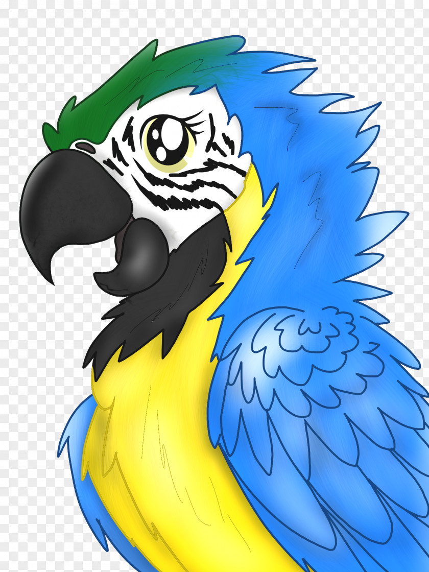 Parrot Macaw Beak Cartoon PNG