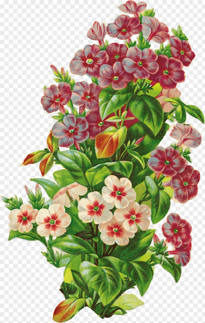Floral Decorative Pattern Design Retro Style U68eeu30acu30fcu30eb Flower PNG