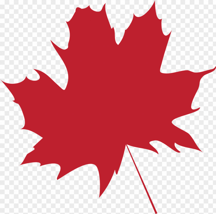 Folha Maple Leaf Flag Of Canada Color PNG
