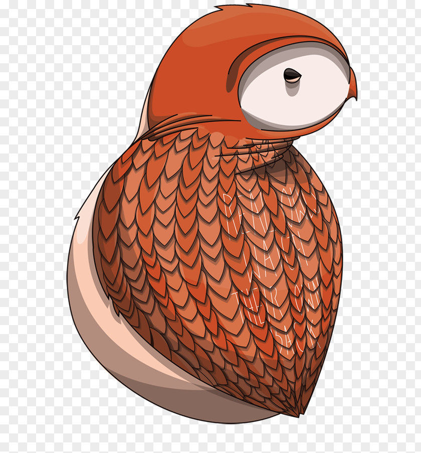 Owl Product Design Illustration Beak PNG