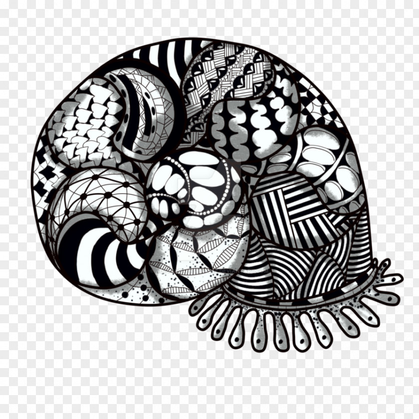Snail Drawing Abstract Art PNG
