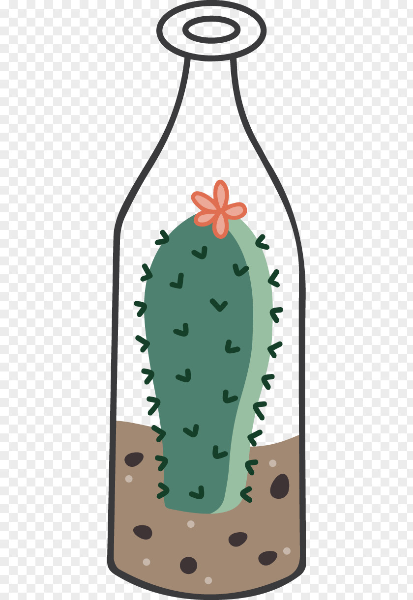Bottle Cactus Cactaceae Cartoon Illustration PNG