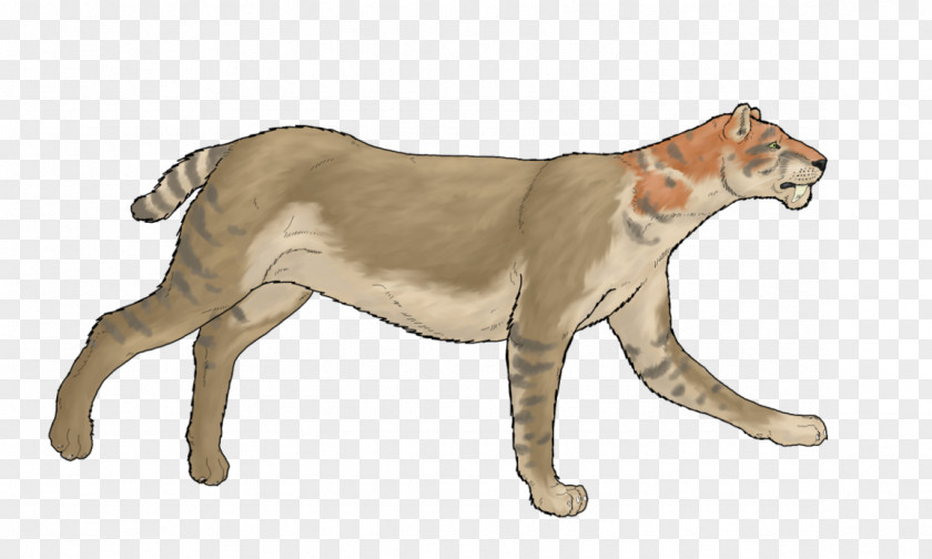 Lion Cougar Cat Pliocene Bear PNG