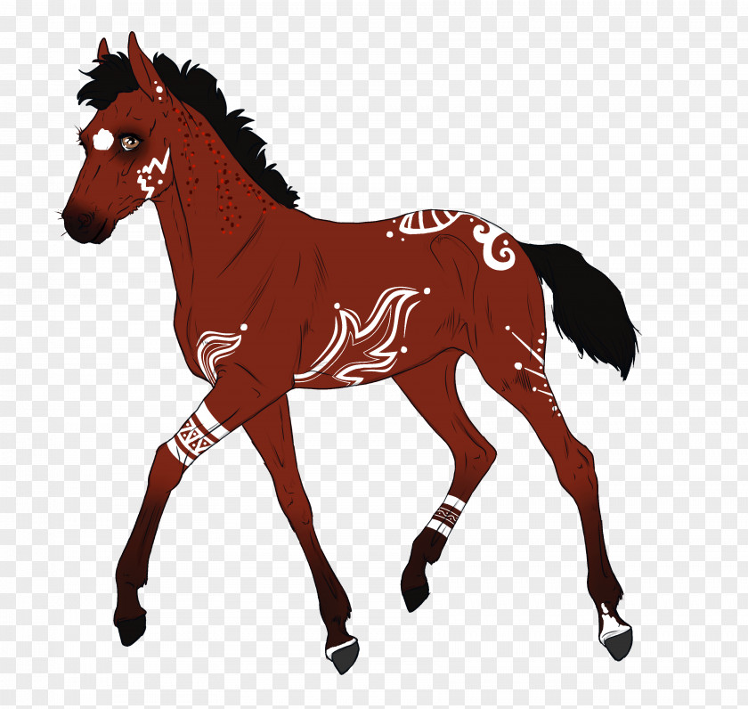 Mustang Pony Vector Graphics Illustration Photography PNG