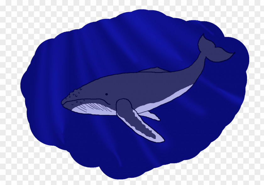 Dolphin Porpoise Cetacea Fish PNG