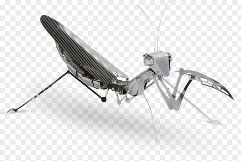 Insect Mantis Wing Metal Earth PNG