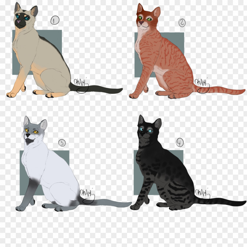 Kitten Domestic Short-haired Cat Whiskers Paw PNG