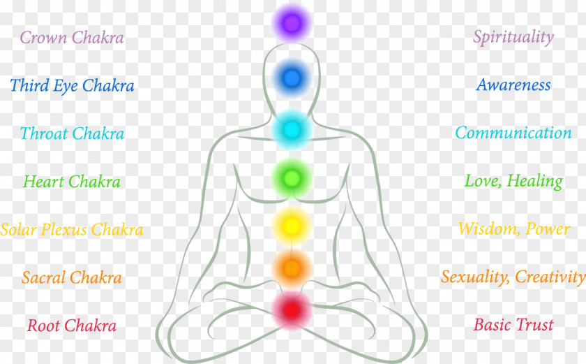 Kundalini Yoga Chakra Svadhishthana Manipura Muladhara Reiki PNG