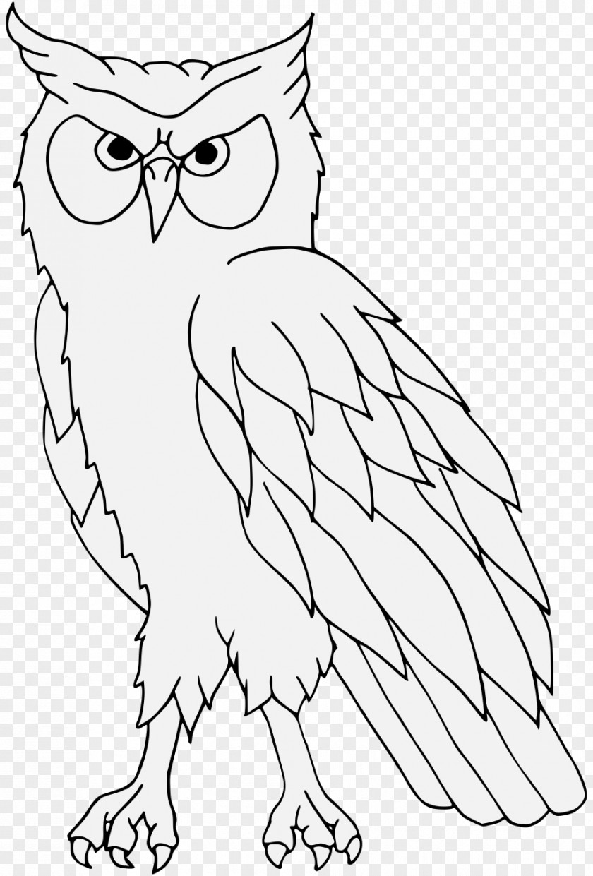 Owl Line Art Heraldry Clip PNG