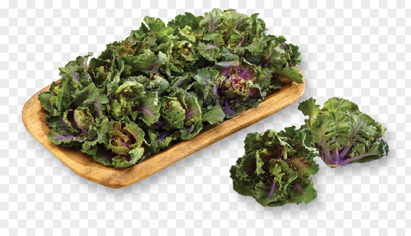 Vegetable Kalette Brussels Sprout Seed PNG