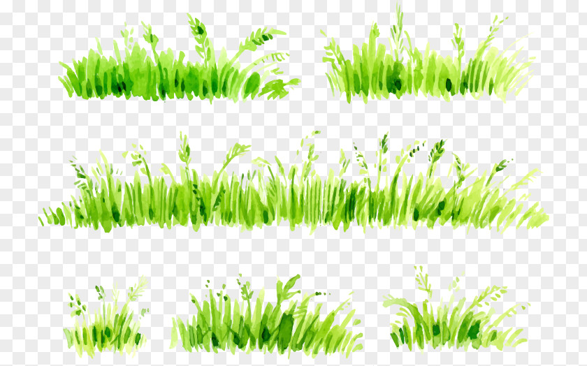 Watercolor Painted Grass Painting Download PNG