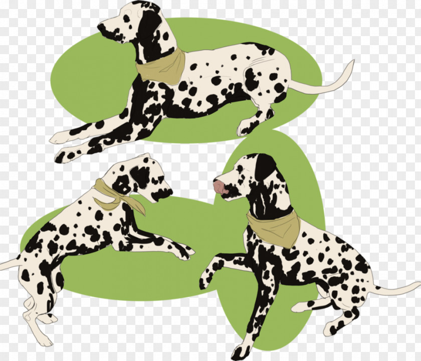 102 Dalmatians Puppies To The Rescue Dalmatian Dog Breed Non-sporting Group PNG
