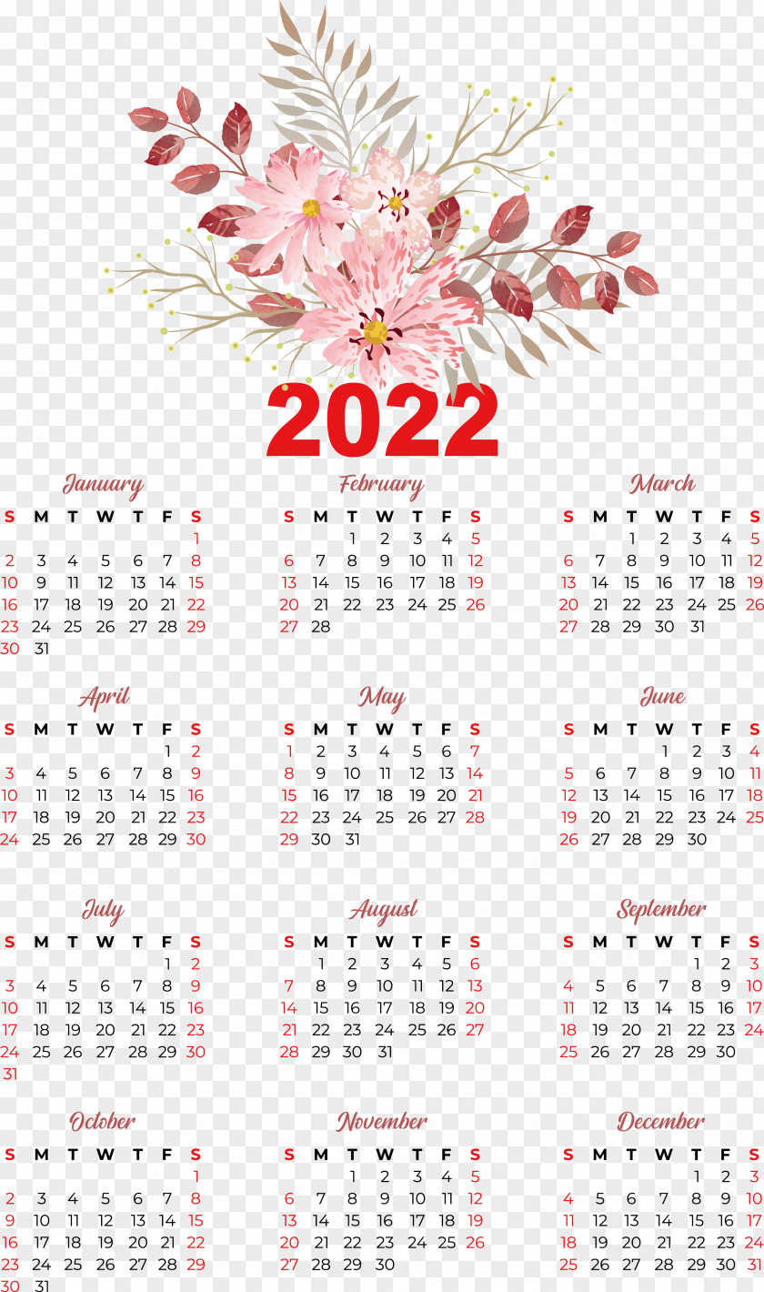 Flower Calendar Font Meter Plant PNG